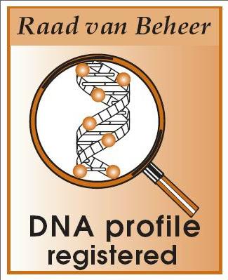 Vincents DNA is geregistreerd bij de Raad van beheer op Kynologisch gebied