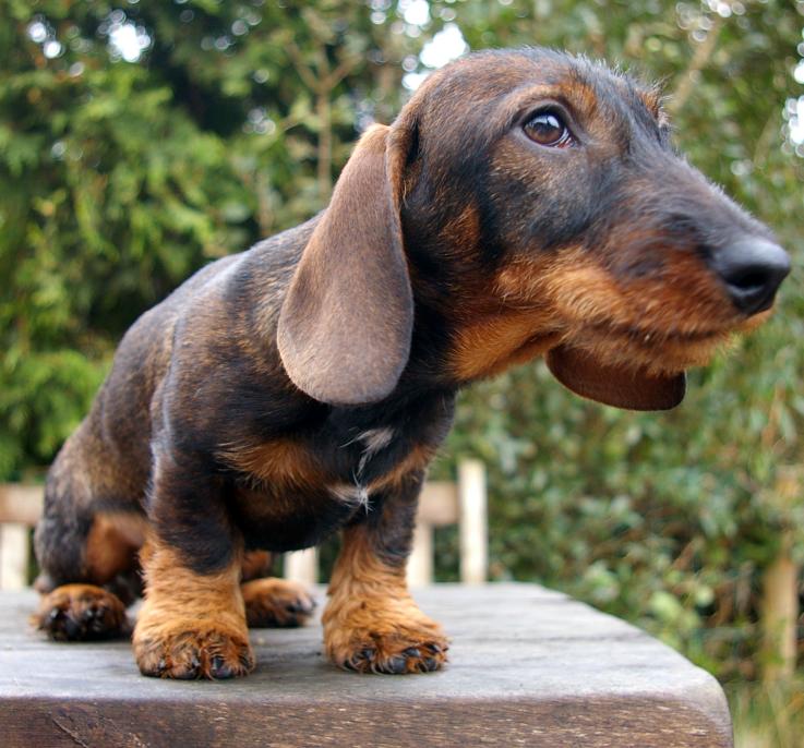 Pablo, zoon van Vincent en Pippi