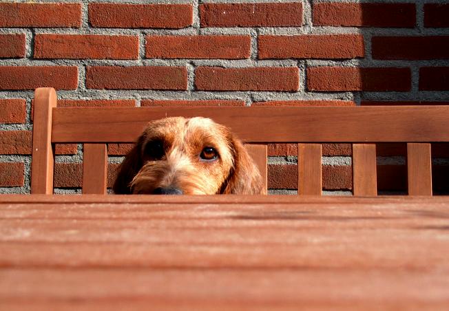 Pippi