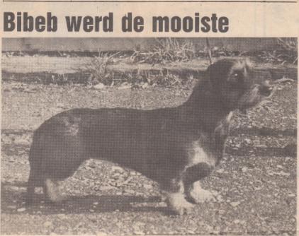 klik hier voor het artikel
